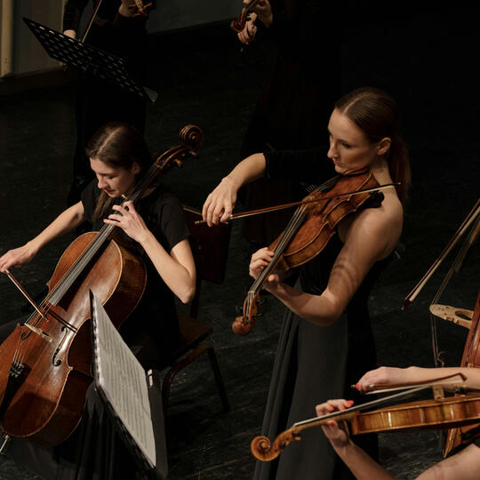 Strings Section Symphony strings